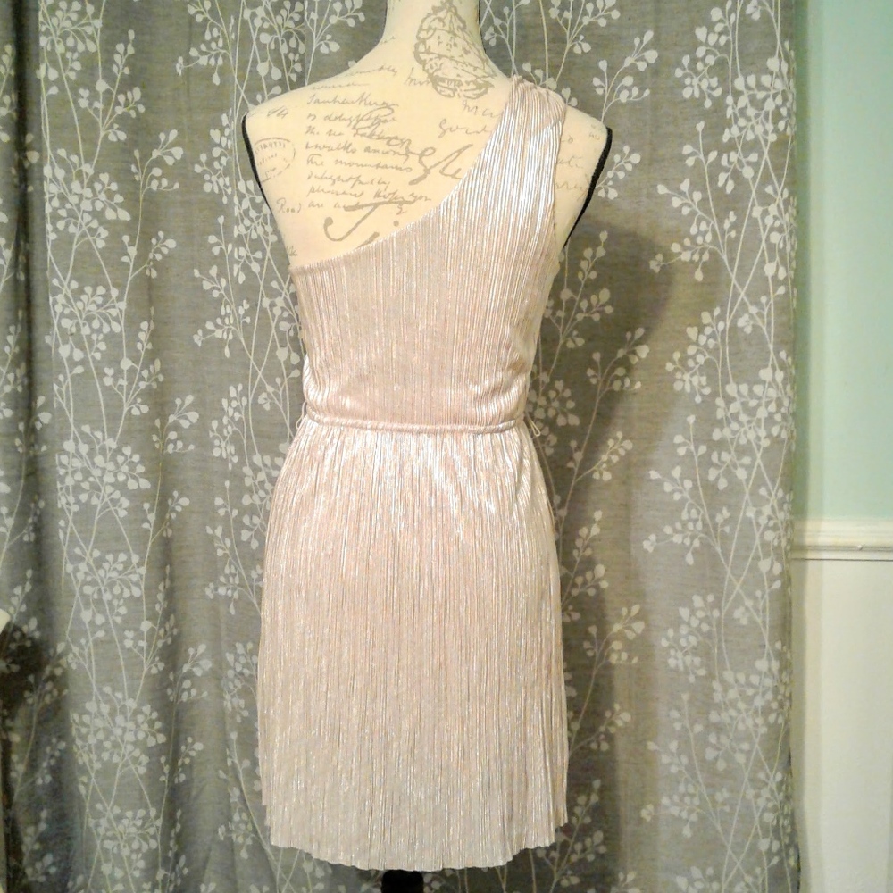 Shiny Express Dress - Picture 3 of 8